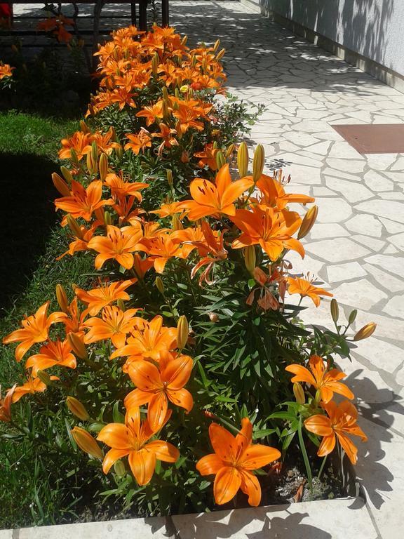 Apartment And Rooms Markovic Senj  Phòng bức ảnh